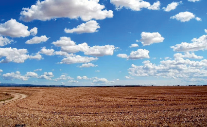 mixed vegetable salad in a mason jar.